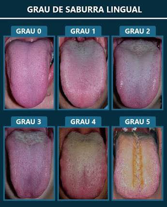 SaburraGraus SABURRA LINGUAL