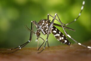 Vacina contra a Chikungunya